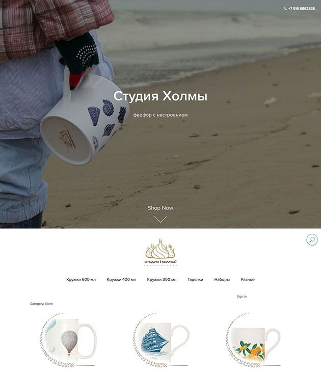 Студия Холмы – интернет-магазин на Эквиде
