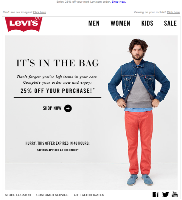 Abandoned cart email levis