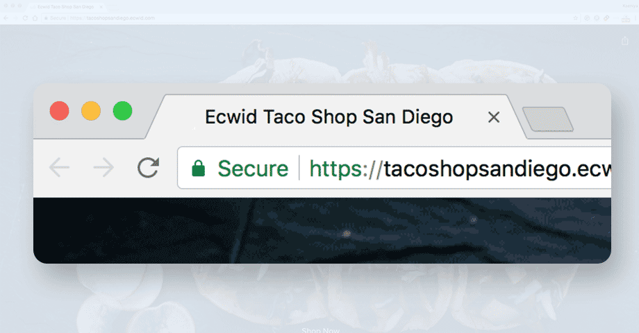 Gumagana ang Ecwid sa HTTPS