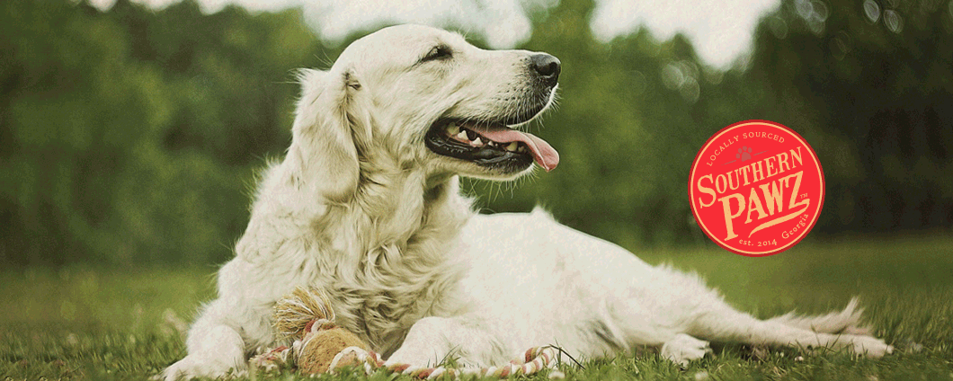 Southern Pawz