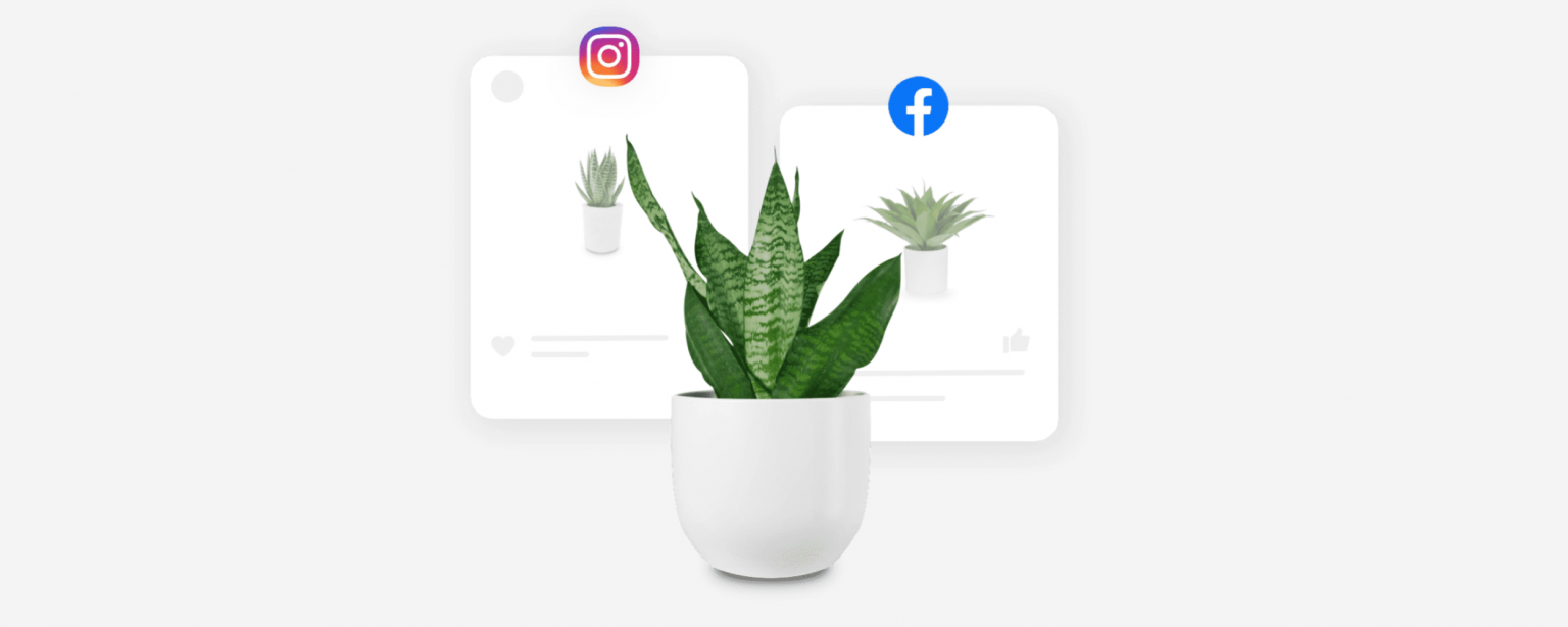 How To Sell Flowers Online for Florist Business