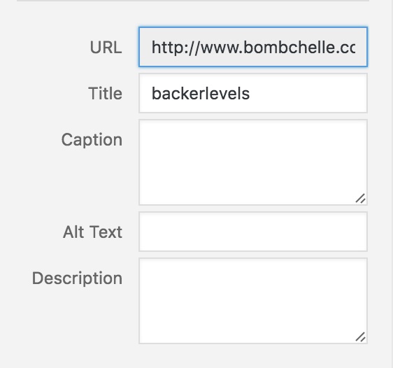 image descriptions