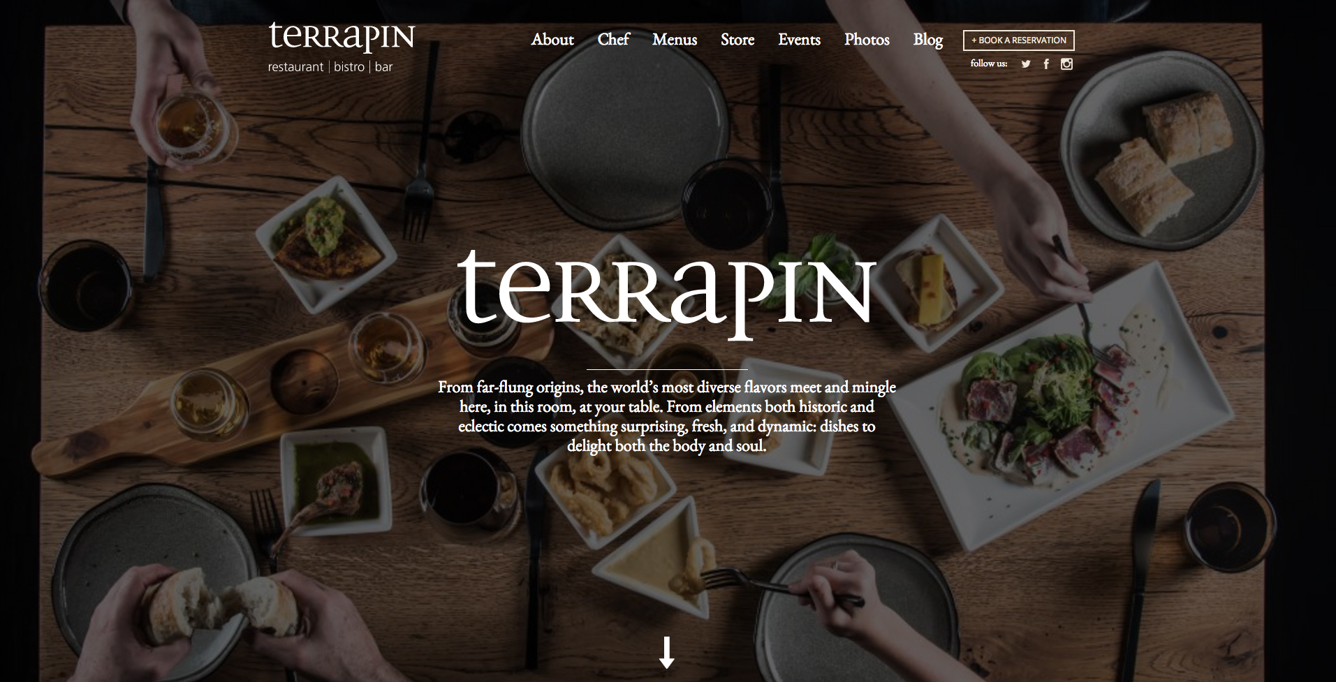 terrapinrestaurant