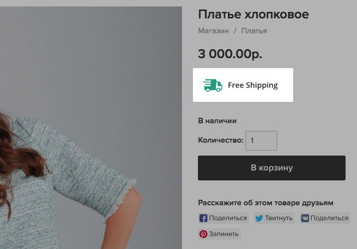 бесплатное приложение Free Shipping Icon