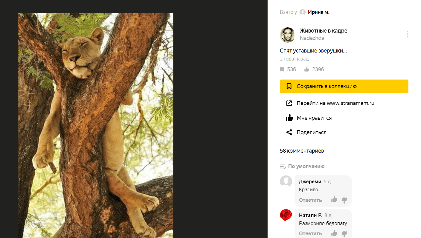 Ваши коллекции могут попадать в рекомендации к пользователям сервиса даже спустя несколько лет после публикации