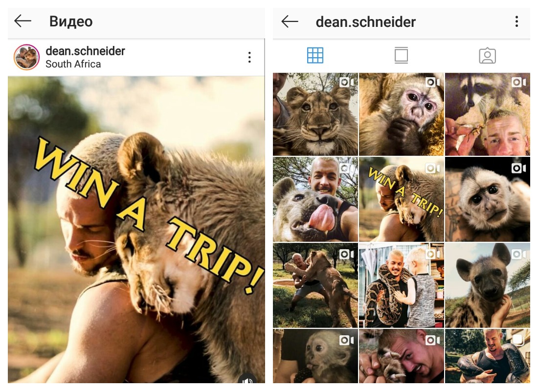 Подписчики @dean.schneider не пропустят видео с розыгрышем поездки
