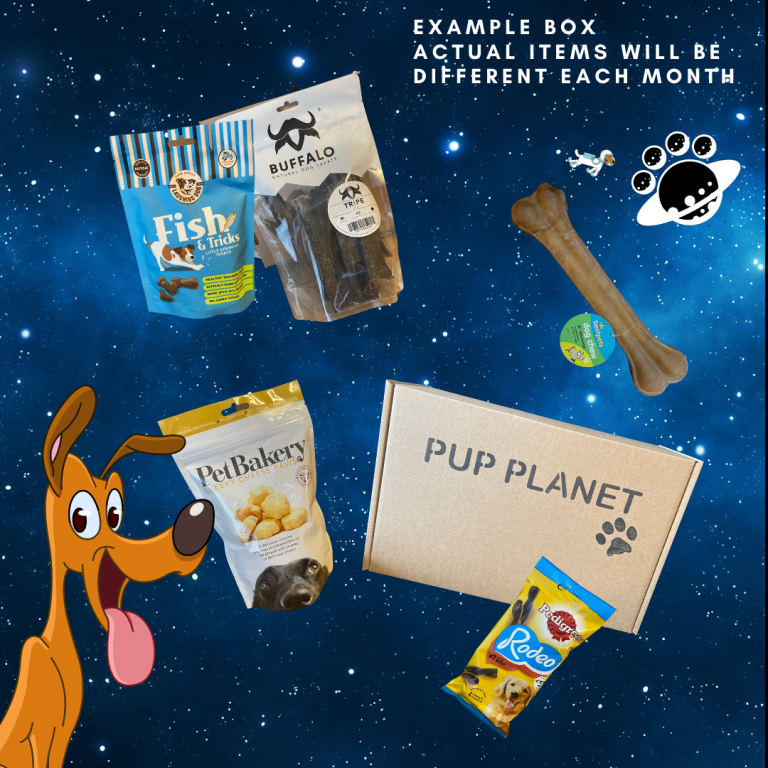 10 Product Ideas for a Subscription Box Busines